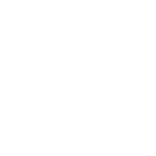 Toggle Password